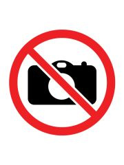 Piotruś i Memo - Kraina Lodu 2 CARTAMUNDI